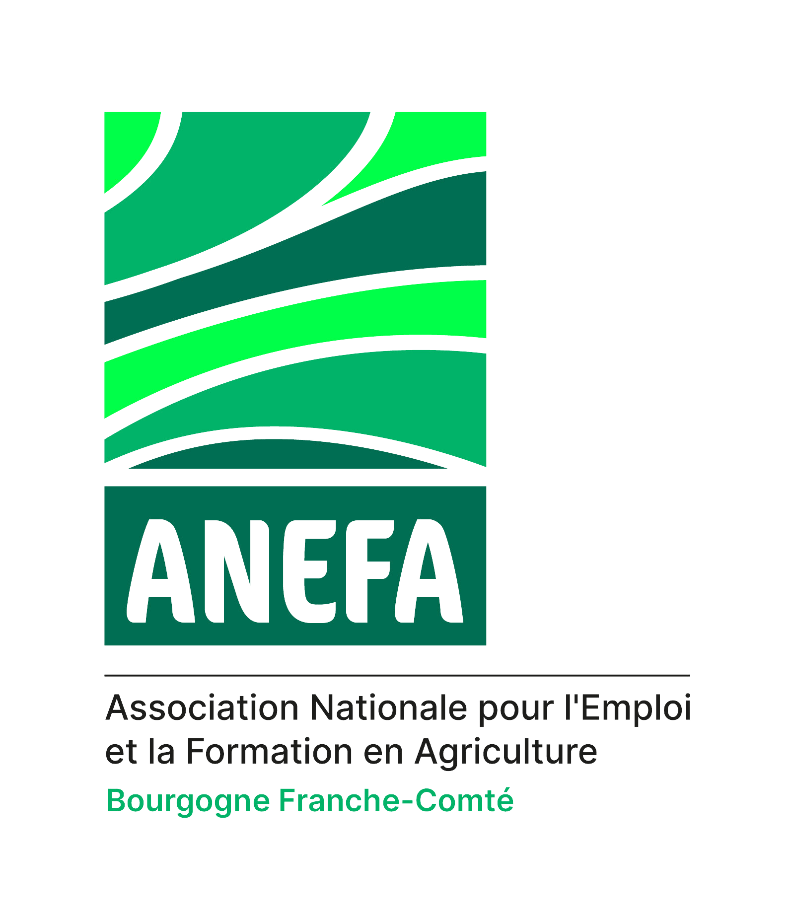 Logo Anefa BFC