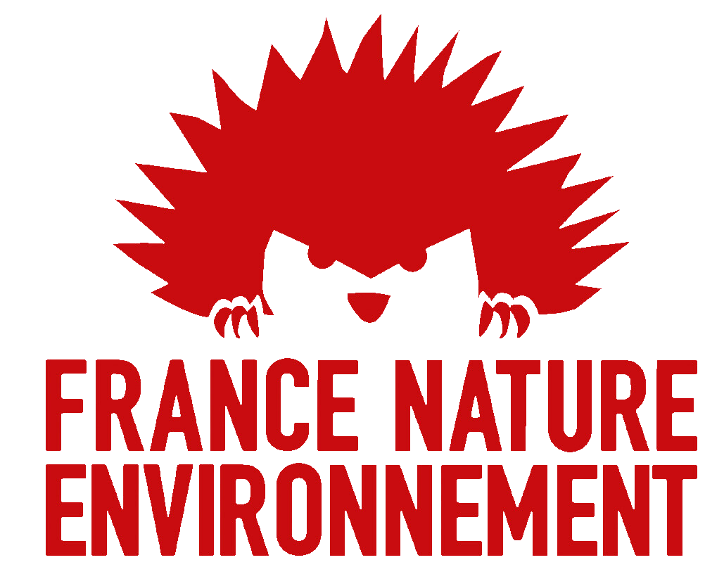 Logo FNE