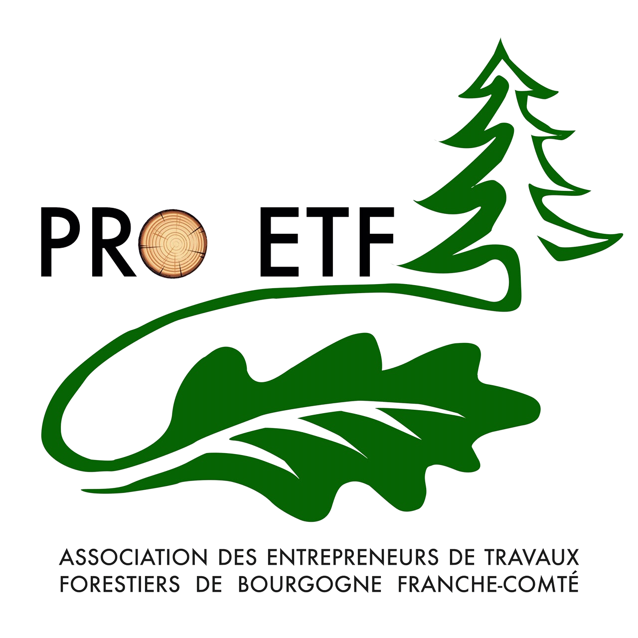 logo pro etf