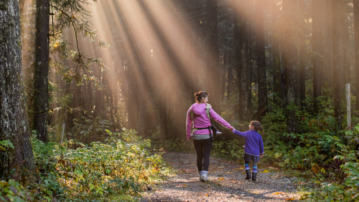 Les animations autour du sujet "Forêt et Société"	