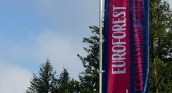 drapeau Euroforest