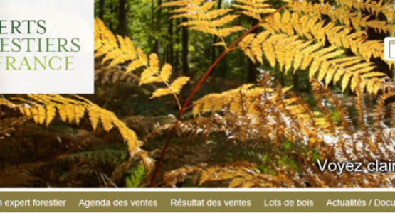 site internet de EXPERTS FORESTIERS DE FRANCE