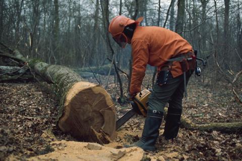 Règles d’hygiène et de sécurité