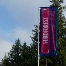 drapeau Euroforest